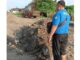 The whale was buried using heavy equipment including two bulldozers - IST